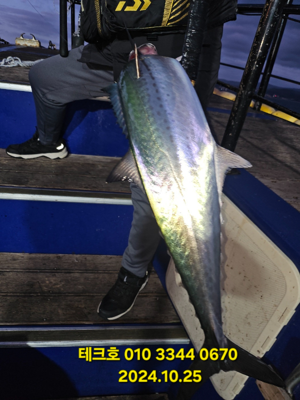 KakaoTalk_20241025_105207024_20.jpg