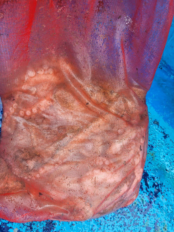 photo_2024-10-15_22-13-02 (2).jpg