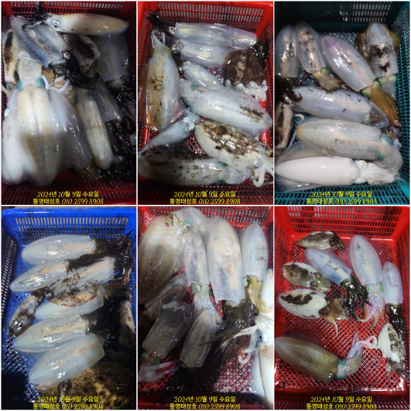 6a5ec37be9cd3490bbb91a247da08d88.jpg