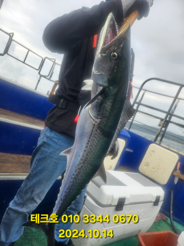 KakaoTalk_20241014_123647674_05.jpg