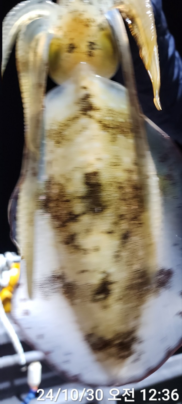 BandPhoto_2024_10_30_08_34_35_17.jpg