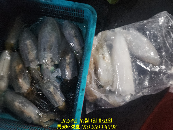 73b15eef421cd97e4584406ab45533af.jpg