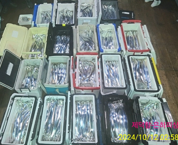 7be77cc84add26dc6df42a8824e95d84.jpg