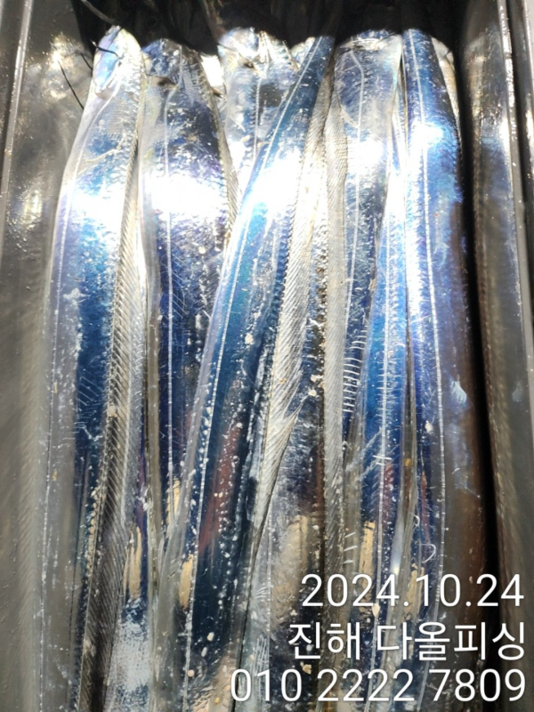 1000022474.jpg