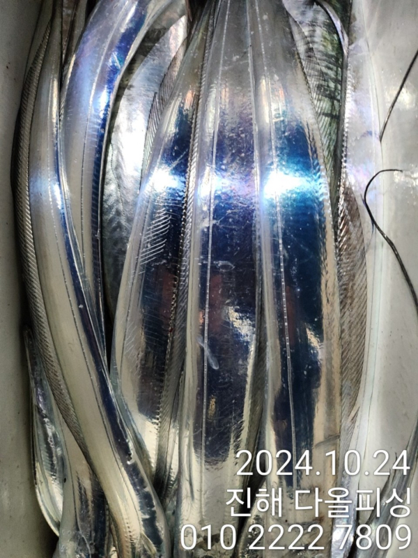 1000022476.jpg