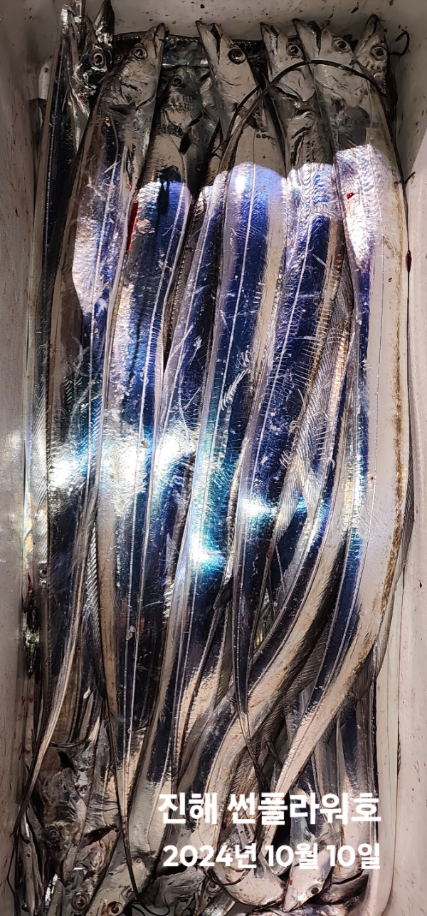 1000049602.jpg