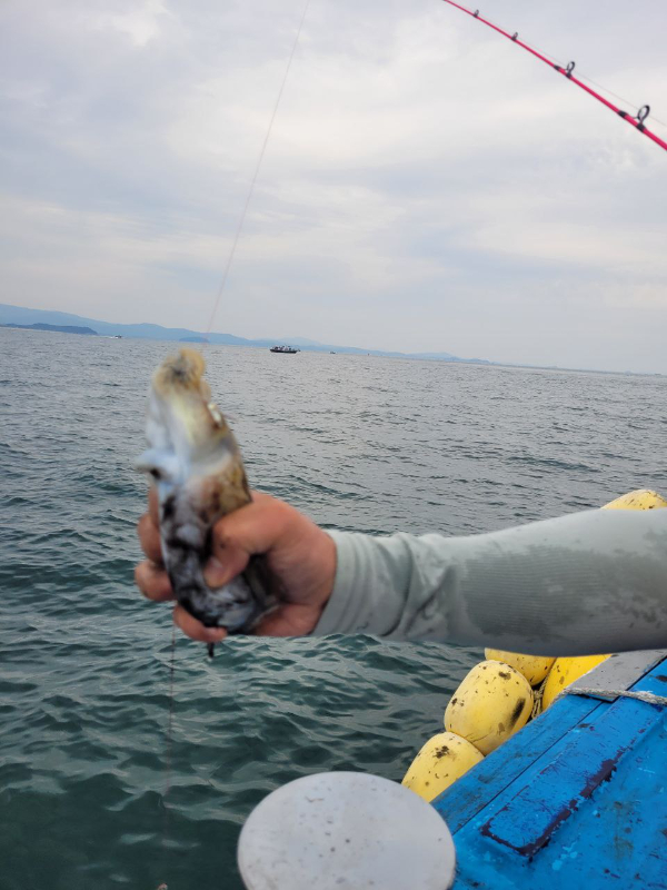 photo_2024-10-13_18-00-04 (2).jpg