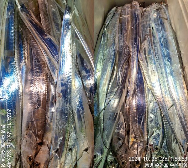 1729805056791-11-tile.jpg