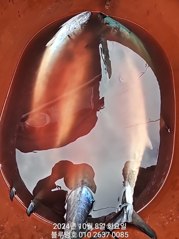 1000018686.jpg