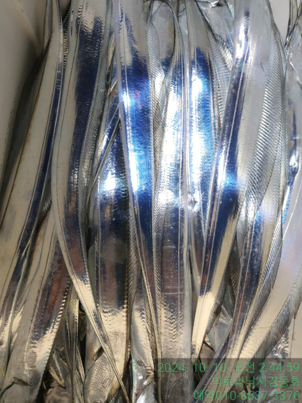 1728505341574.jpg