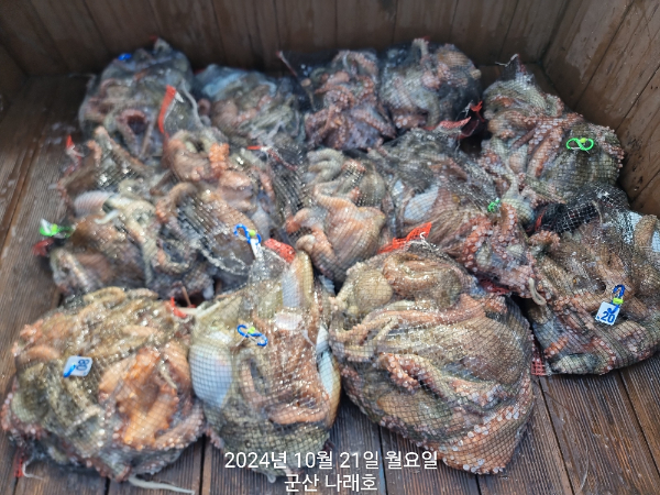 KakaoTalk_20241021_152434283_08.jpg