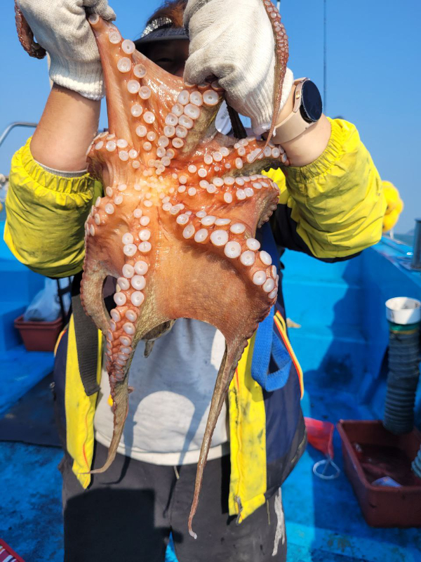 photo_2024-10-08_17-22-49 (2).jpg