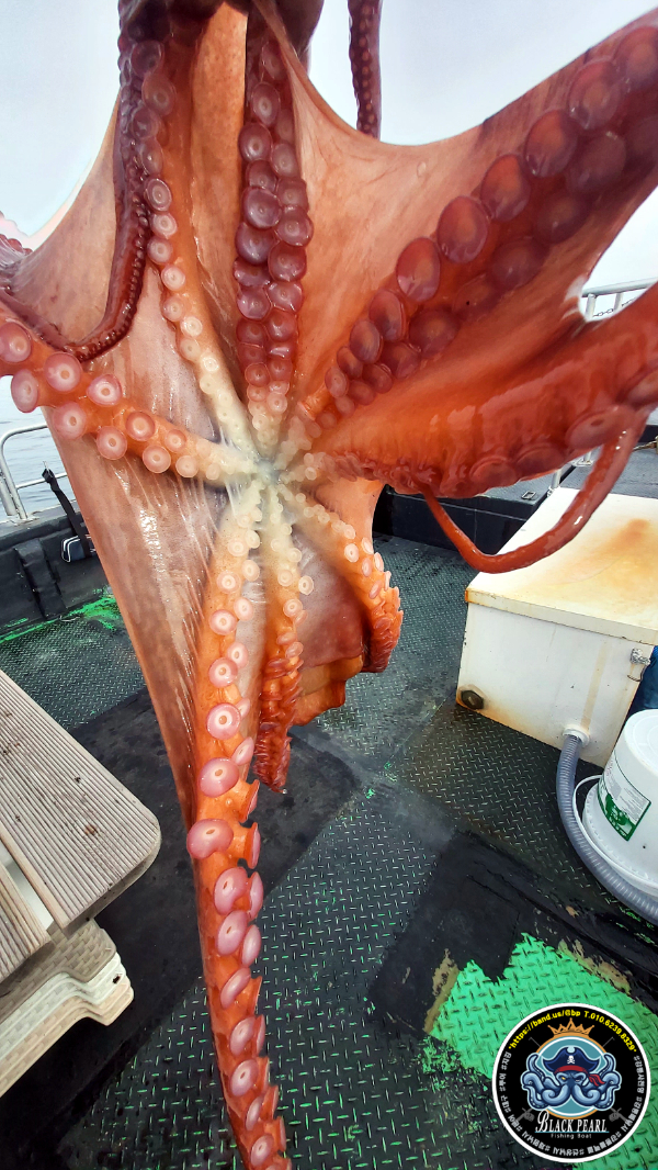 KakaoTalk_20241027_184420151_10.jpg