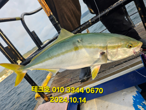 KakaoTalk_20241014_123647674_11.jpg