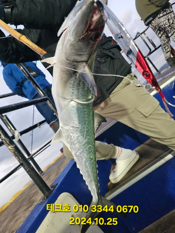 KakaoTalk_20241025_105207024_18.jpg