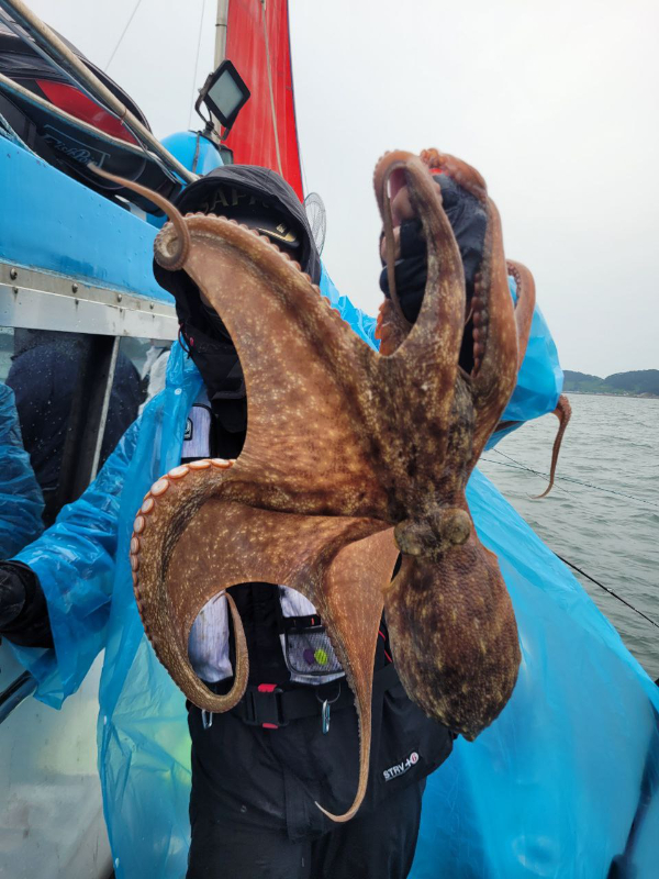 photo_2024-10-14_17-50-09 (2).jpg