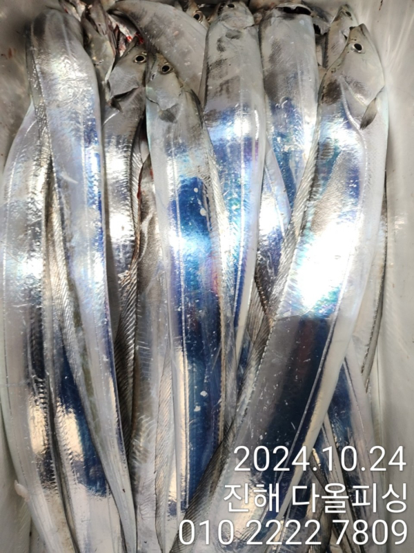 1000022475.jpg