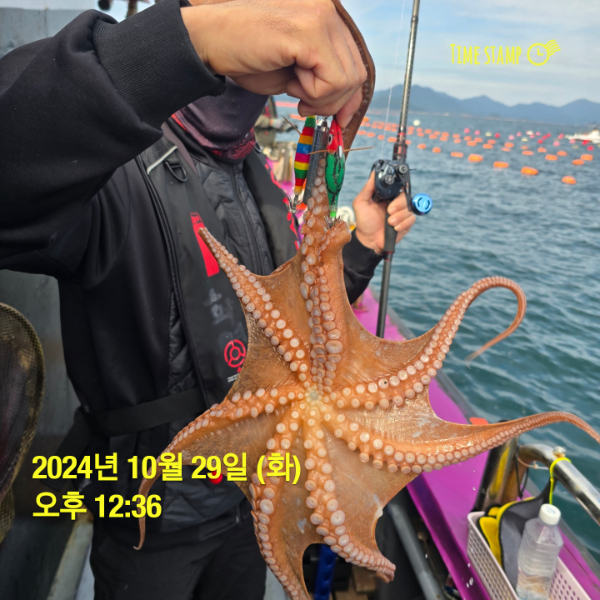 2024-10-29T12_36_04.513.jpg