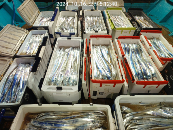 dba14fd282478e78b79df60172b267be.jpg