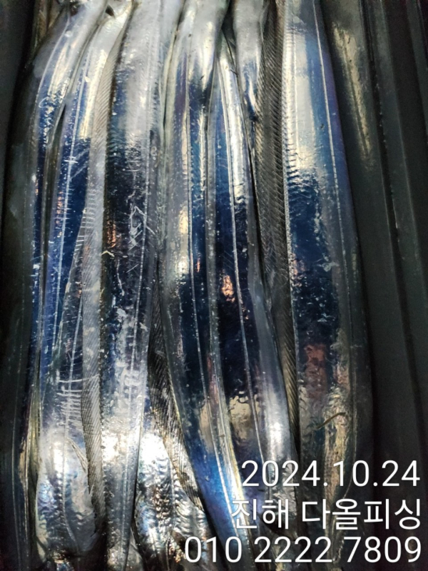 1000022471.jpg