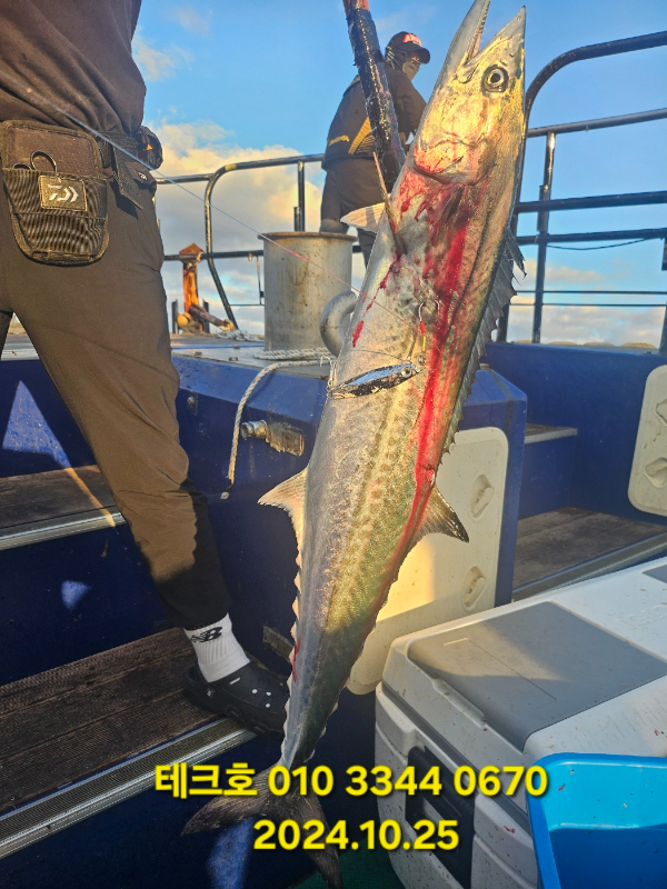 KakaoTalk_20241025_105207024_03.jpg