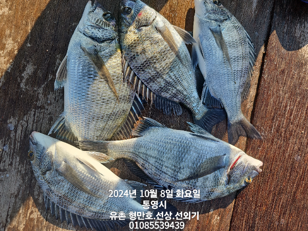 e3ab2de4a5395e2093463ff09d5d8df2.jpg