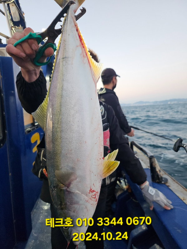 KakaoTalk_20241024_083507993_15.jpg