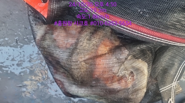 KakaoTalk_20241030_170231410.jpg