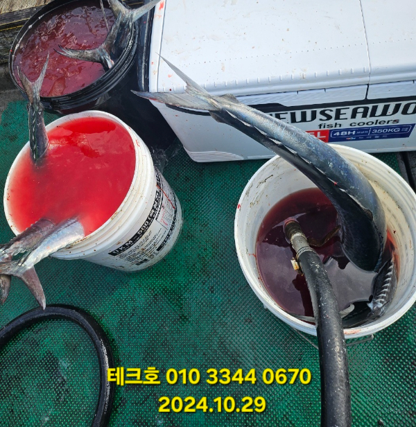 KakaoTalk_20241029_182809228_06.jpg