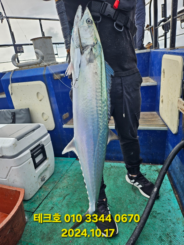 KakaoTalk_20241017_151346859_04.jpg