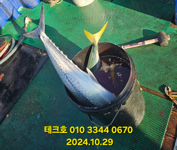 KakaoTalk_20241029_182809228_02.jpg