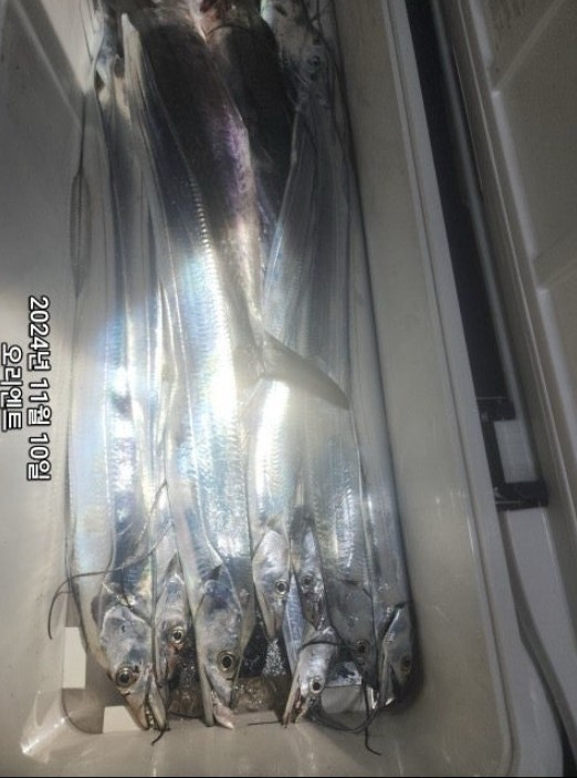 화면 캡처 2024-11-11 075850.jpg