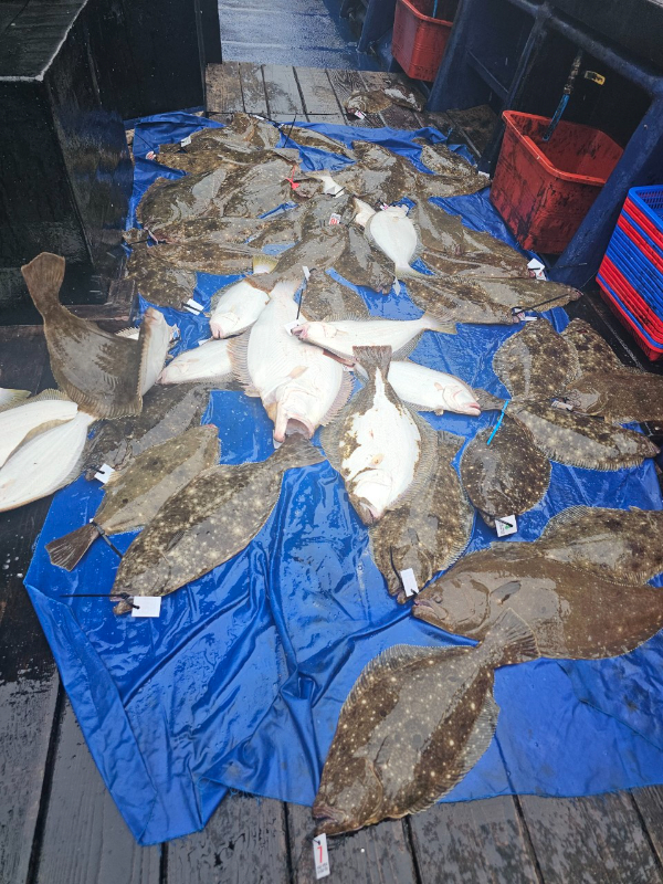 마검포 대한호(VIP)_사진_20241116_4.jpg