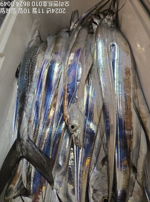 화면 캡처 2024-11-11 080110.jpg