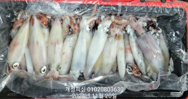 0837fade723cd24826e822a13645d96c.jpg