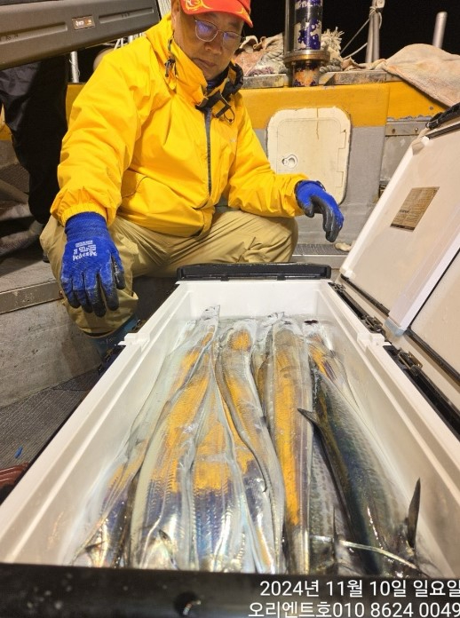 화면 캡처 2024-11-11 080504.jpg