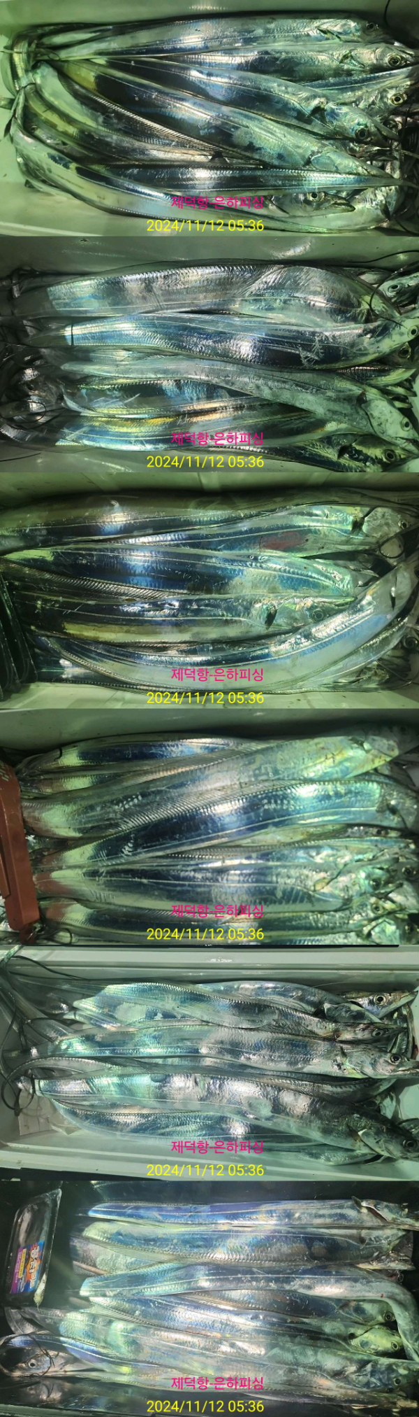 1000053421.jpg