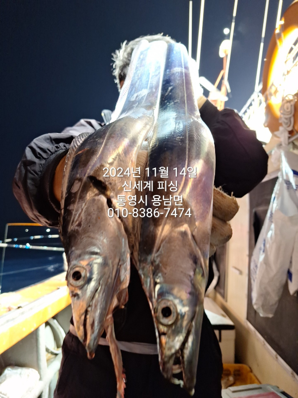 1731579703126.jpg