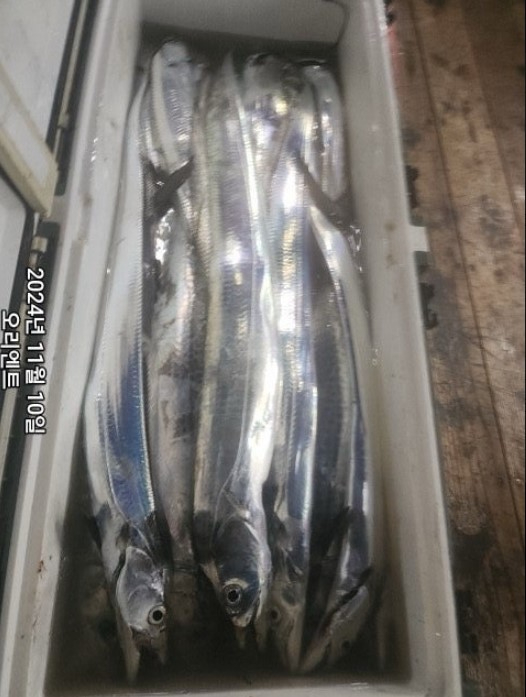 화면 캡처 2024-11-11 080301.jpg