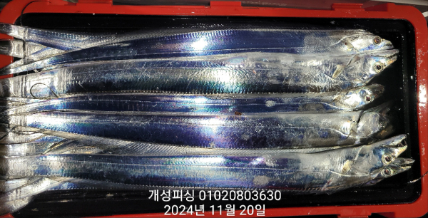 13a1efdd94accdc177baed6a7db587a7.jpg