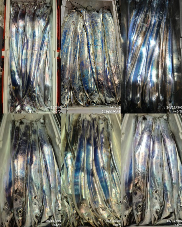 1000054213.jpg