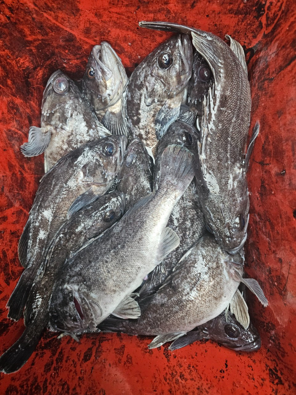 마검포 대한호(VIP)_사진_20241116_5.jpg