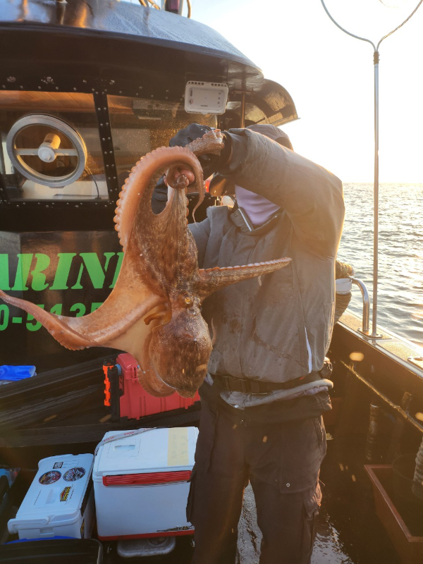 ■서산마린케이호☆광어 우럭 주꾸미 갑오징어 백조기 문어 감성돔 선상낚시_사진_20241125_12.jpg