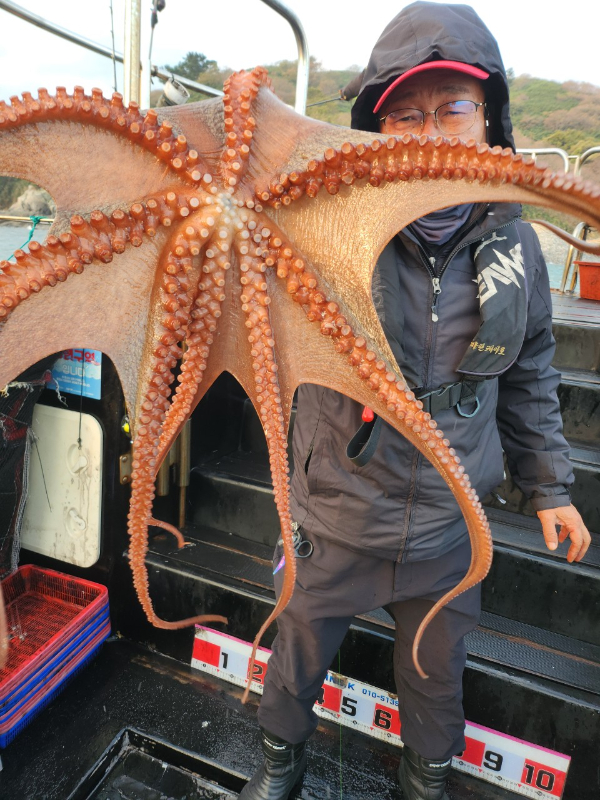 ■서산마린케이호☆광어 우럭 주꾸미 갑오징어 백조기 문어 감성돔 선상낚시_사진_20241125_11.jpg