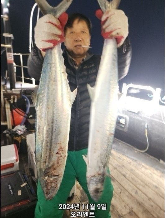 화면 캡처 2024-11-11 075417.jpg