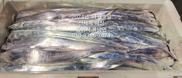 1730411094594.jpg