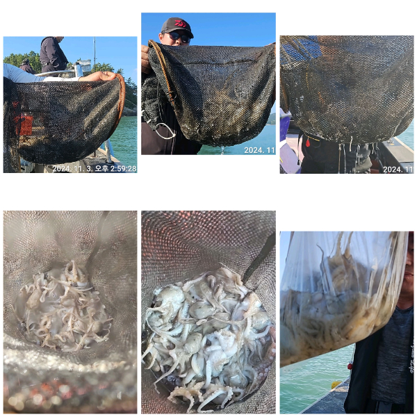 Polish_20241103_173154888 (1).jpg