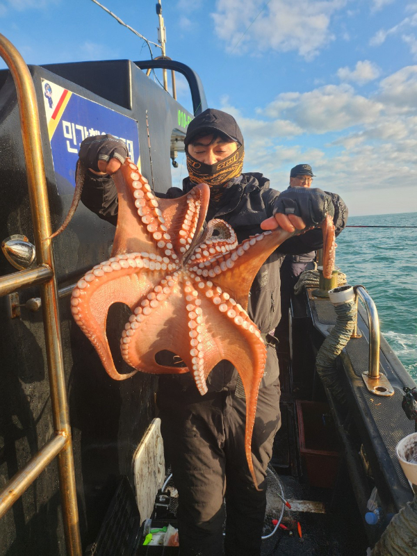 ■서산마린케이호☆광어 우럭 주꾸미 갑오징어 백조기 문어 감성돔 선상낚시_사진_20241125_6.jpg