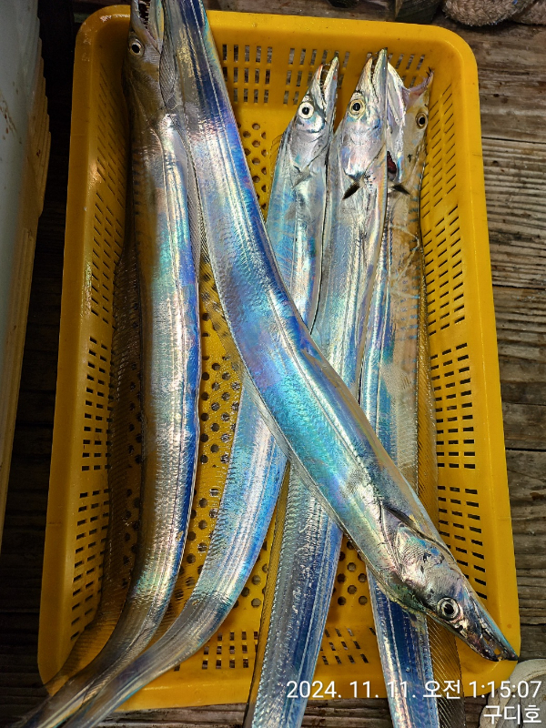 1000029772.jpg