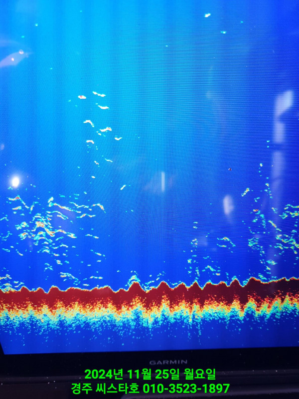 TimePhoto_20241125_131647.jpg